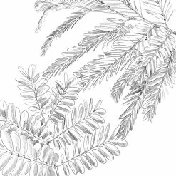 Parure De Lit Monstera Blanc Et Vert 240x220 Atmosphera -Demeyers Magasin parure de lit monstera blanc et vert 240x220 atmosphera 4