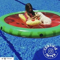 Pastèque Gonflable Grand Modèle 1.83 M Intex -Demeyers Magasin pasteque gonflable grand modele 183 m intex 2