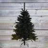 Sapin 150 Cm Vert Dakota Spruce -Demeyers Magasin sapin dakota spruce 150 cm vert